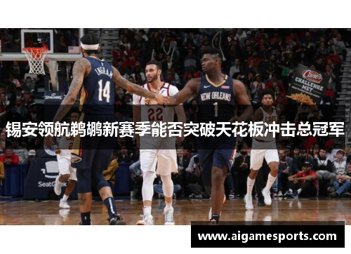 锡安领航鹈鹕新赛季能否突破天花板冲击总冠军