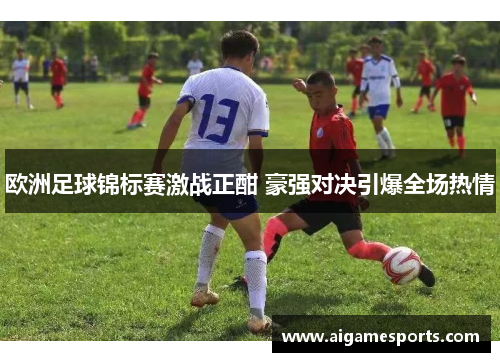 欧洲足球锦标赛激战正酣 豪强对决引爆全场热情