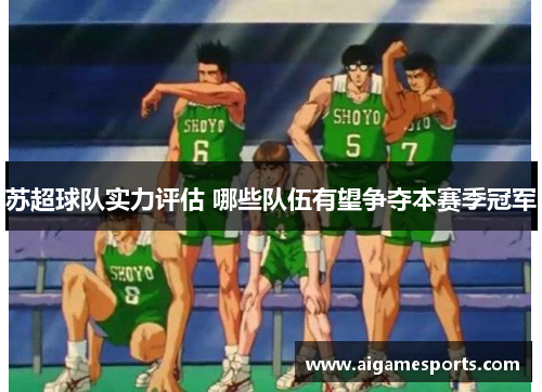 苏超球队实力评估 哪些队伍有望争夺本赛季冠军